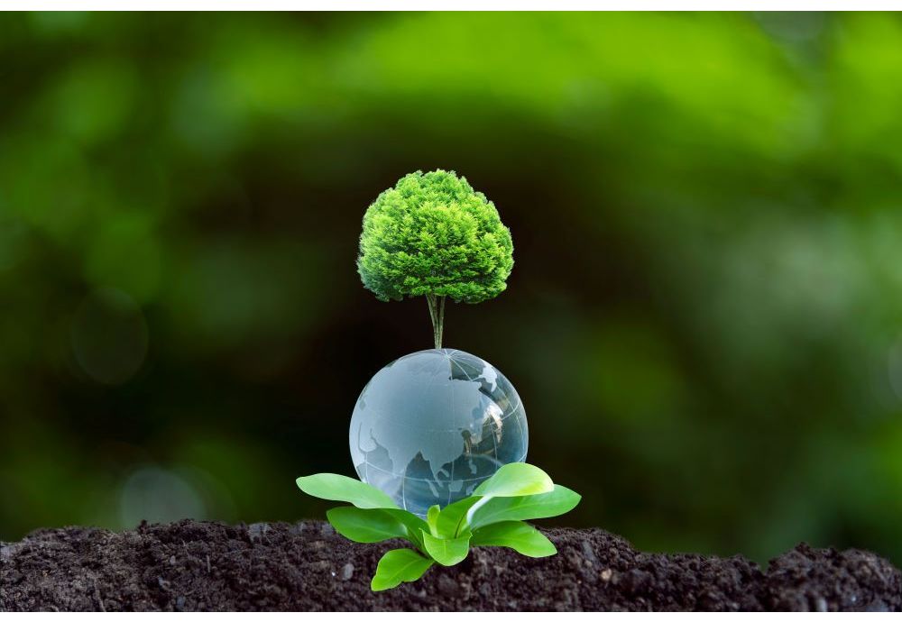 Incentivo al calor renovable: el impacto de las calderas de biomasa en las emisiones de CO₂