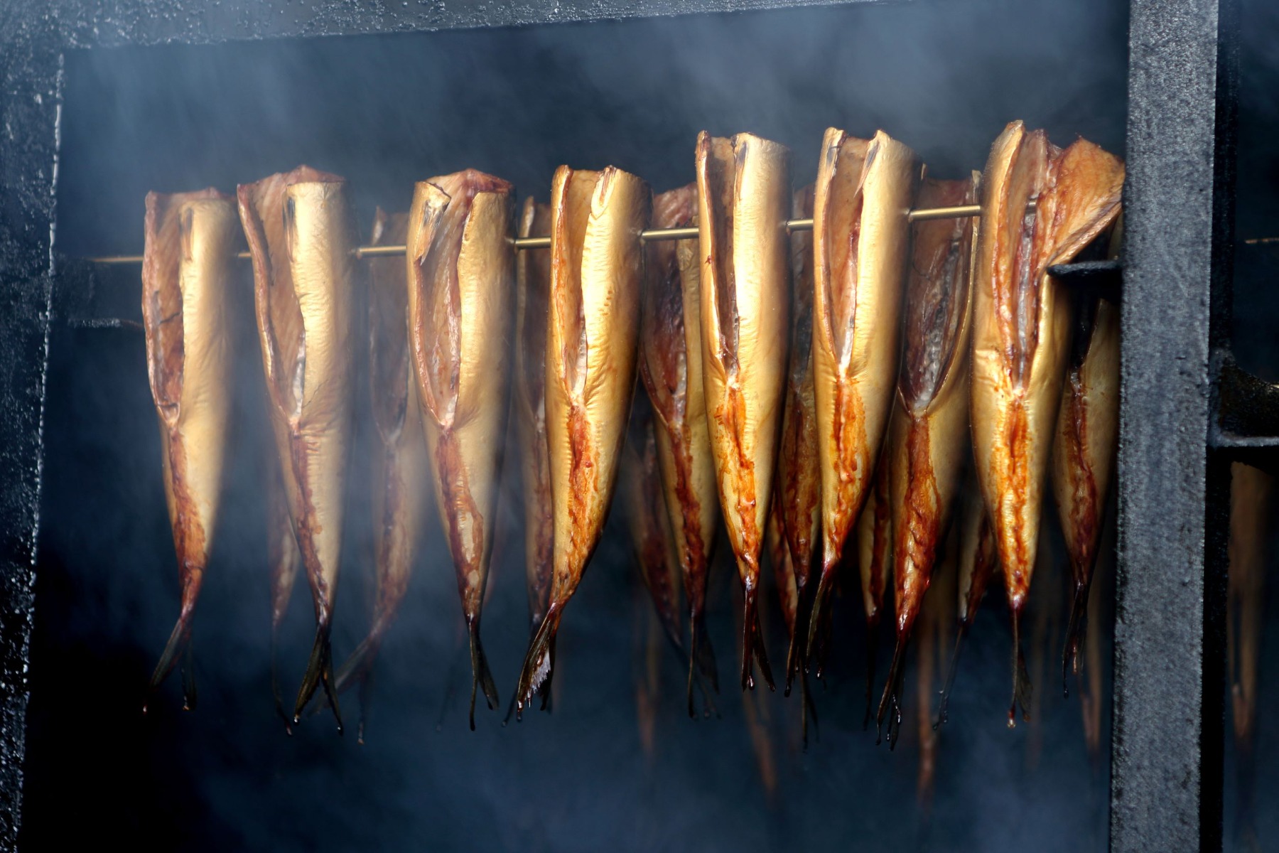 Ahumador para pescado